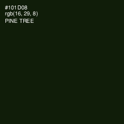 #101D08 - Pine Tree Color Image
